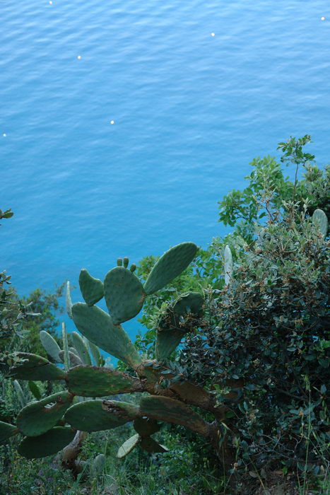 5 земель - Cinque Terre, Монтероссо ал Маре