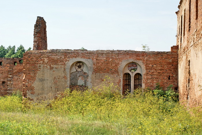 Береза Картезианский монастырь