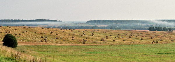 белорусские поля