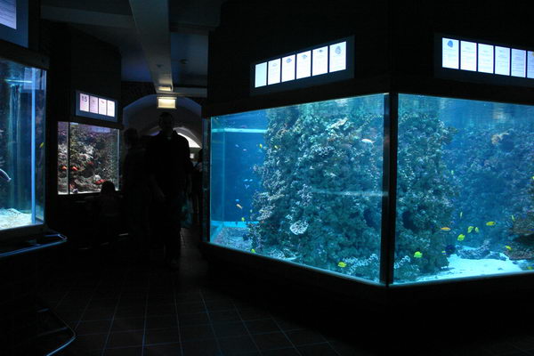 Штральзунд, Meeresmuseum, Морской музей, аквариум