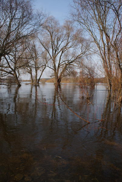 Паводок в Беларуси. Разлив реки Неман. 