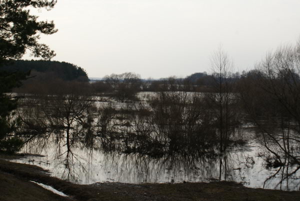 Наводнение в Белоруссии. Разлив реки Неман. Подтопление. Деревня Подъельники