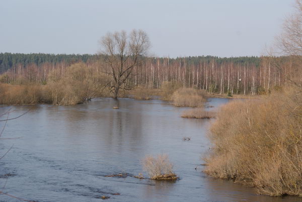 Паводок в Беларуси. Разлив реки Неман. Мост через реку у Магильно