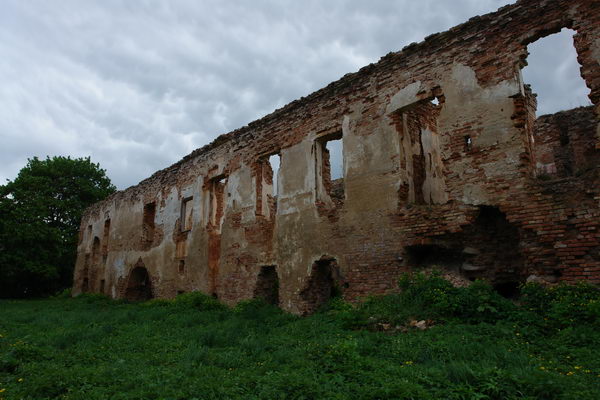 Черный замок Ольшанский, Замок в Гольшанах 