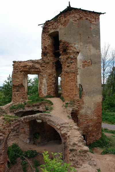 Черный замок Ольшанский, Замок в Гольшанах 